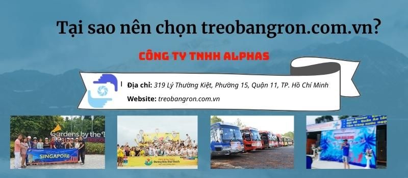 Tại sao nên chọn treo băng rôn Alphas