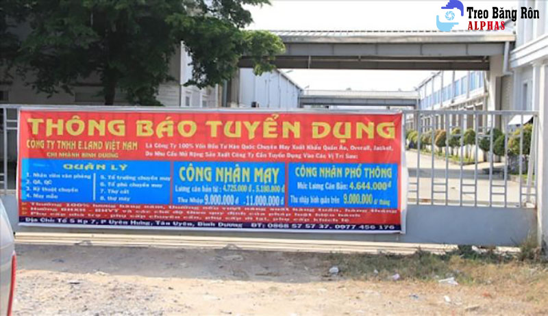 mẫu tuyển dụng 31