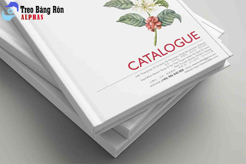 catalogue tiết kiệm ngân sách doanh nghiệp