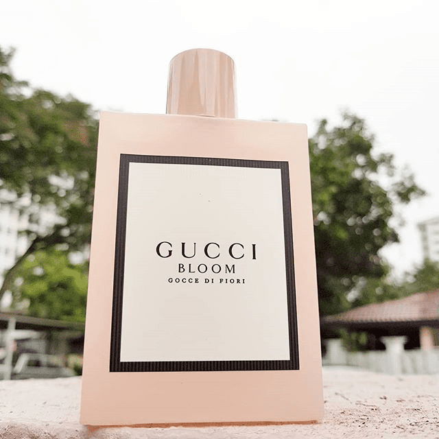 Thiết kế logo Gucci 