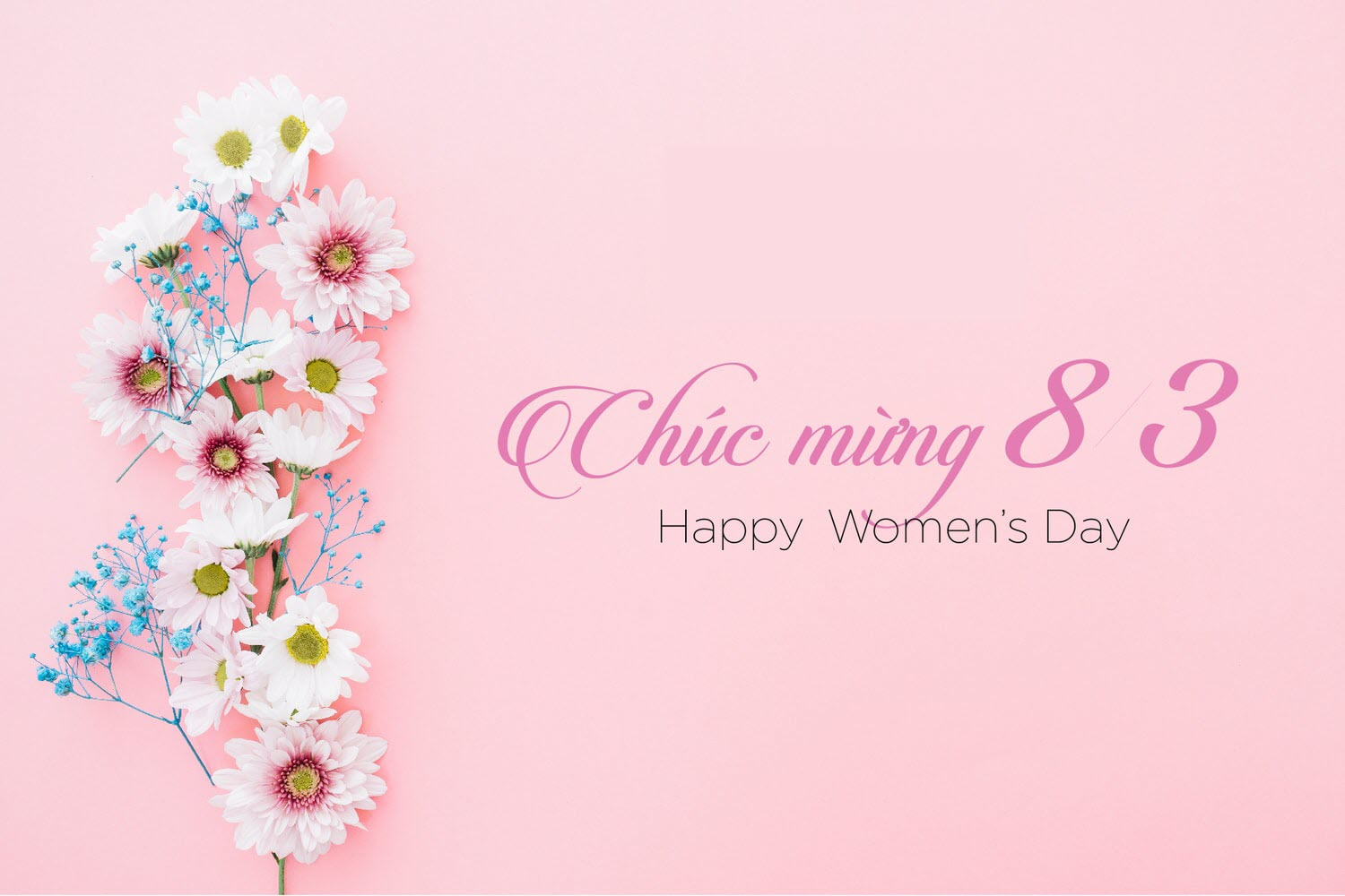 Banner 8.3 với nền hoa pastel và lời chúc chân thành