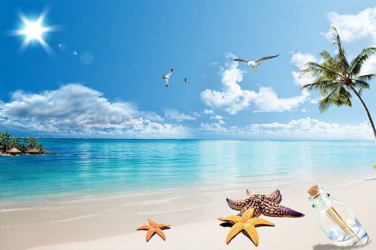 Backdrop bãi biển 50+ Mẫu Backdrop Biển Ngoài Trời Đẹp, Ấn Tượng