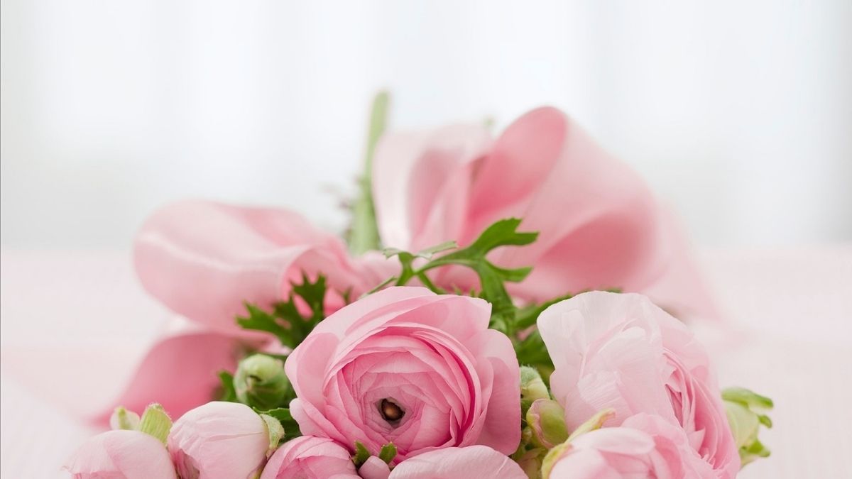 background hoa hồng nhẹ nhàng 50+ Background Hồng Pastel Đẹp, Nhẹ Nhàng
