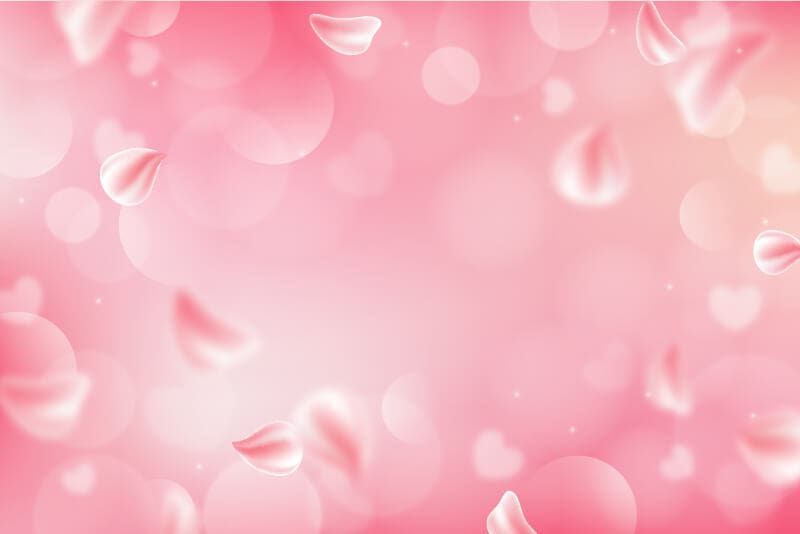 background hồng hoa anh đào bay 50+ Background Hồng Pastel Đẹp, Nhẹ Nhàng